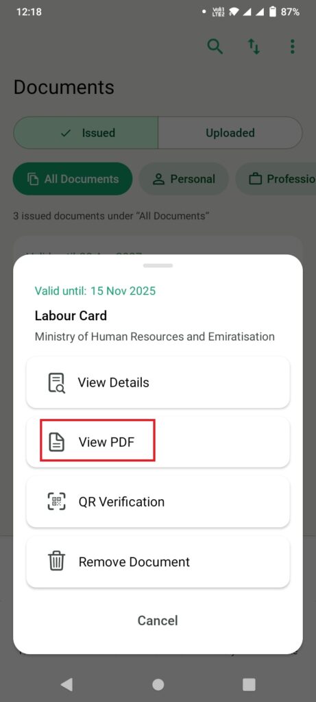 UAE Labour Card